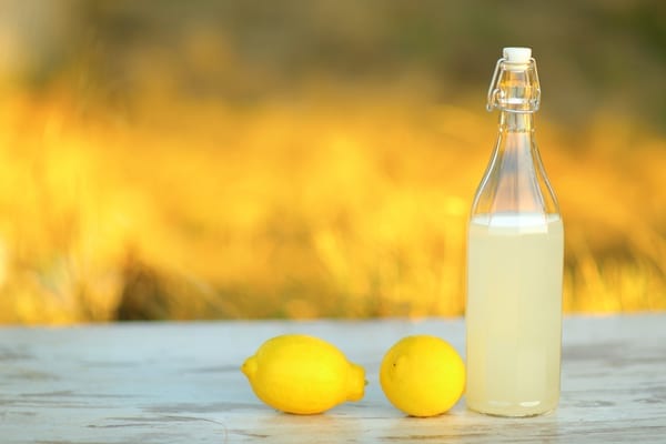 The Entrepreneurial Spirit of One Lemonade Stand