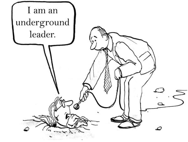 S & C (a.k.a. Introverted) Leaders