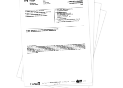 Validation Process for Ipsative Assessments: Canadian Patent