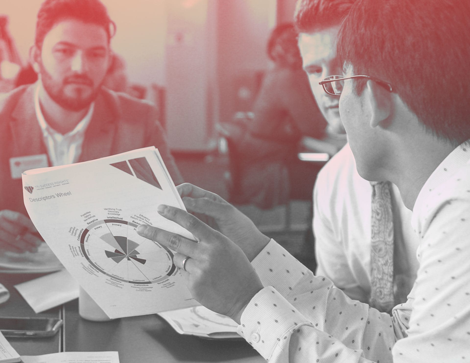SoftSkills DISC assessment