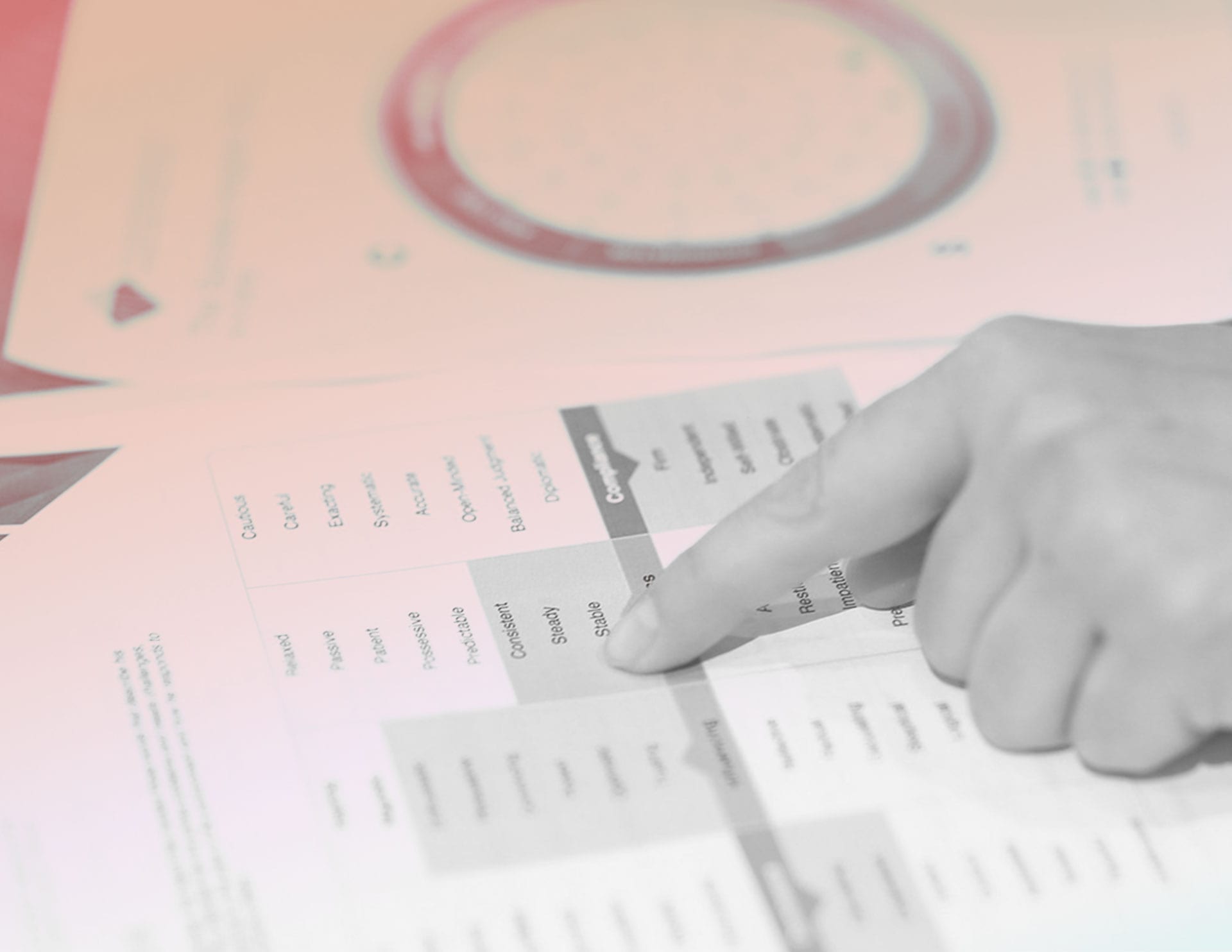 TTISI-PopularTools DISC assessment