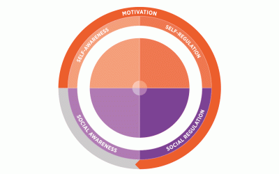 La Inteligencia Emocional Y la Evaluación de la Inteligencia Emocional: Lo Que Necesitas Saber