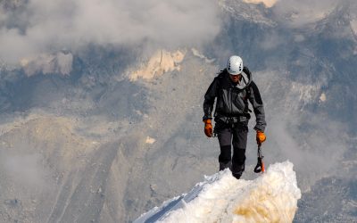 Finding Your Niche Based on Your DISC Behavioral Style