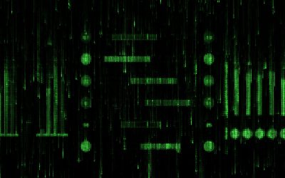 The Matrix Behind Behavioral Assessments