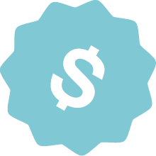 pricing icon