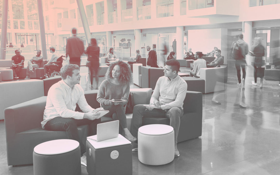 Professional Competency Self-Efficacy of Undergraduate Environmental Studies Students